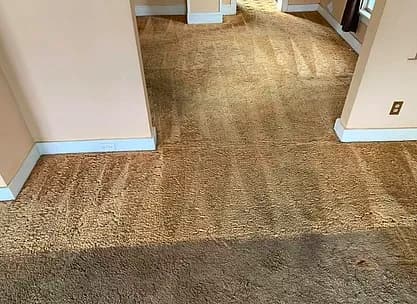 J&K Precision Cleaning performing recurring cleaning